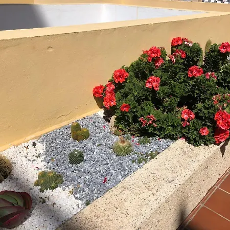 Con Impresionantes Vistas Y Piscina דירה *